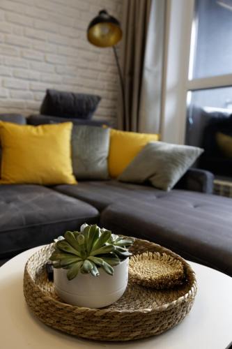 rayon Triaditsa Apartment | The View Sofia