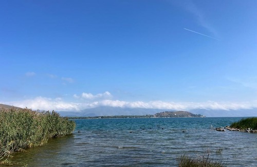 Sevan House | Dom v lesu Sevan