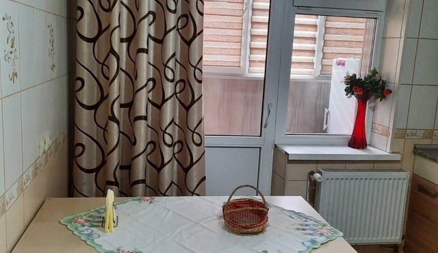 1 Zimmer Wohnung - Zentral Wohnung Aurica