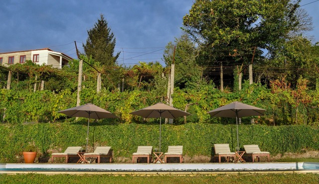 Casa do Lameiro - Country House