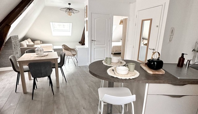 Charmant Duplex Dans L'hyper Centre-ville de Brive-la-gaillarde, Refait à Neuf !