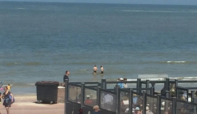 Charming T3 sea view - Bray-Dunes