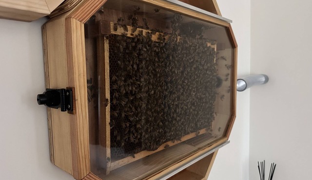 Cottage La Butineuse for 4 people with a beehive!