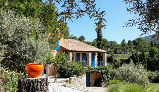 Gîte Bleu among olive trees