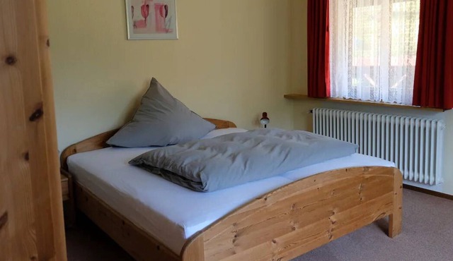 Guest room spruce with toilet and shower