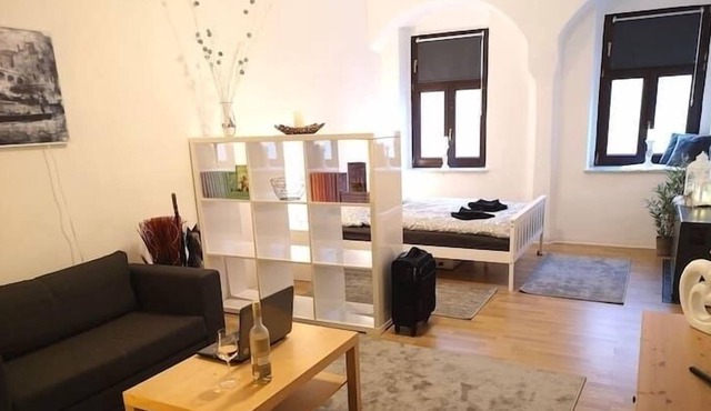 holiday apartment/apt. for 3 guests with 35m² in Torgau (159255)