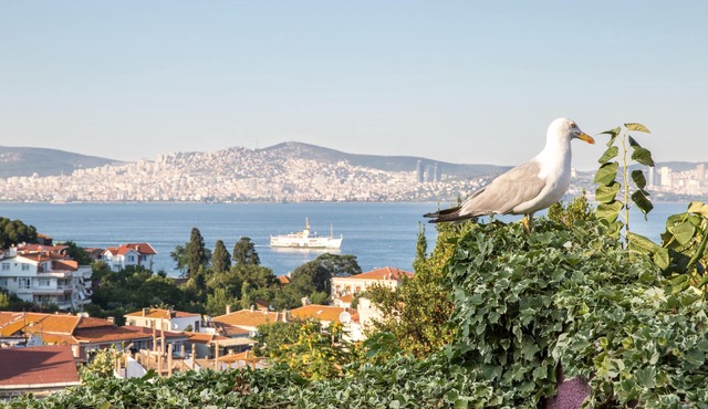 L'isola Guesthouse - Adults Only