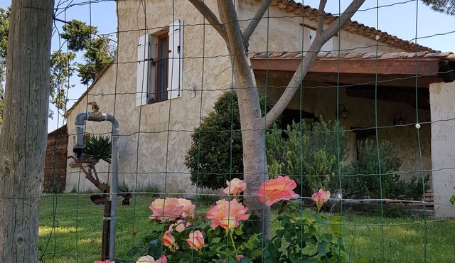 Louise's Cabanon "Between vineyards and Mt Ventoux