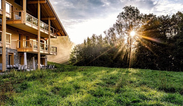 Luxurious apartment with sauna in France Portes du Soleil. Hiking in summer, skiing in winter