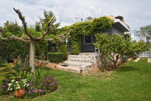 marathon family villa