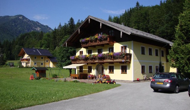 Pferdehof Almgut - Reiten für Kinder, Natur und Erholung nahe Salzburg