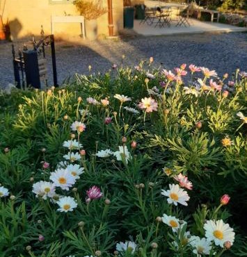San Martin Wellness Retreat (Tas Sienja)