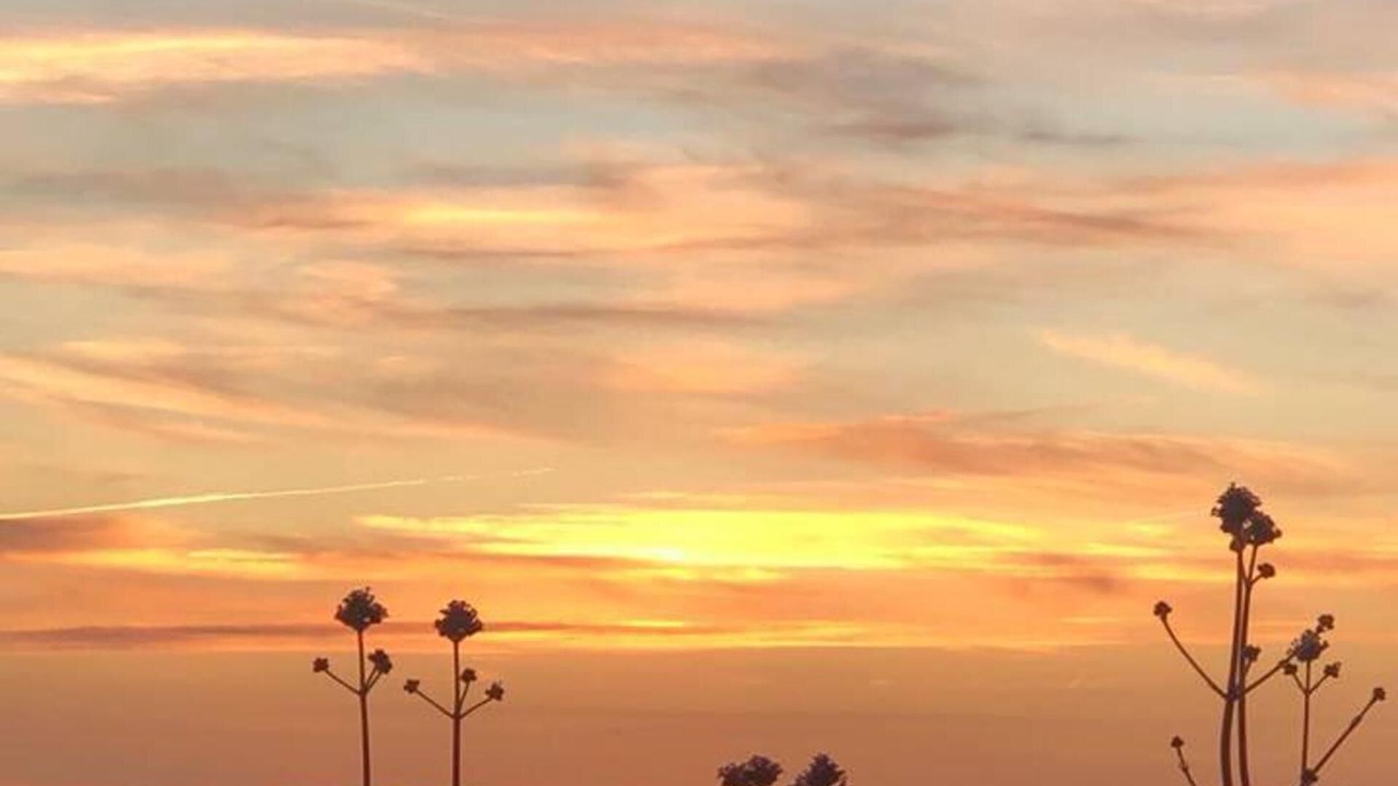 Photo of Others in Hartland