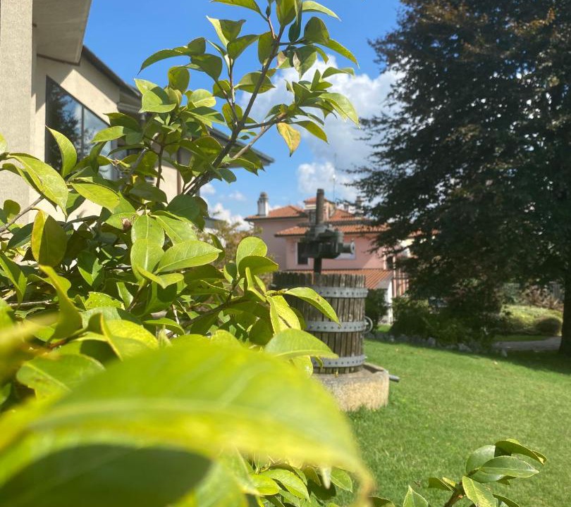 Photo of Others in Castelnovate